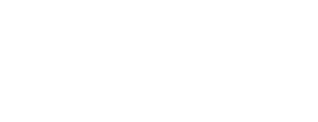 US AI Logo